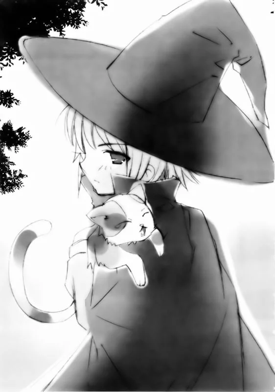 Illustration